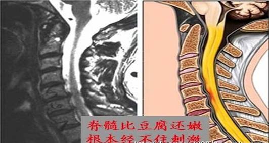 clip_image002.jpg t010eb4a2936a169c84