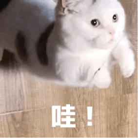 说明: //mmbiz.qpic.cn/mmbiz_gif/GKia7CMCBxibPZJXXUycPldQdSqPwISHecfYjPlibSTtlJaQib2VgRiaFCB0aIiaCXEoDg2JUcibfmibNDBJ4mOEauqmFw/640?wx_fmt=gif&tp=webp&wxfrom=5&wx_lazy=1